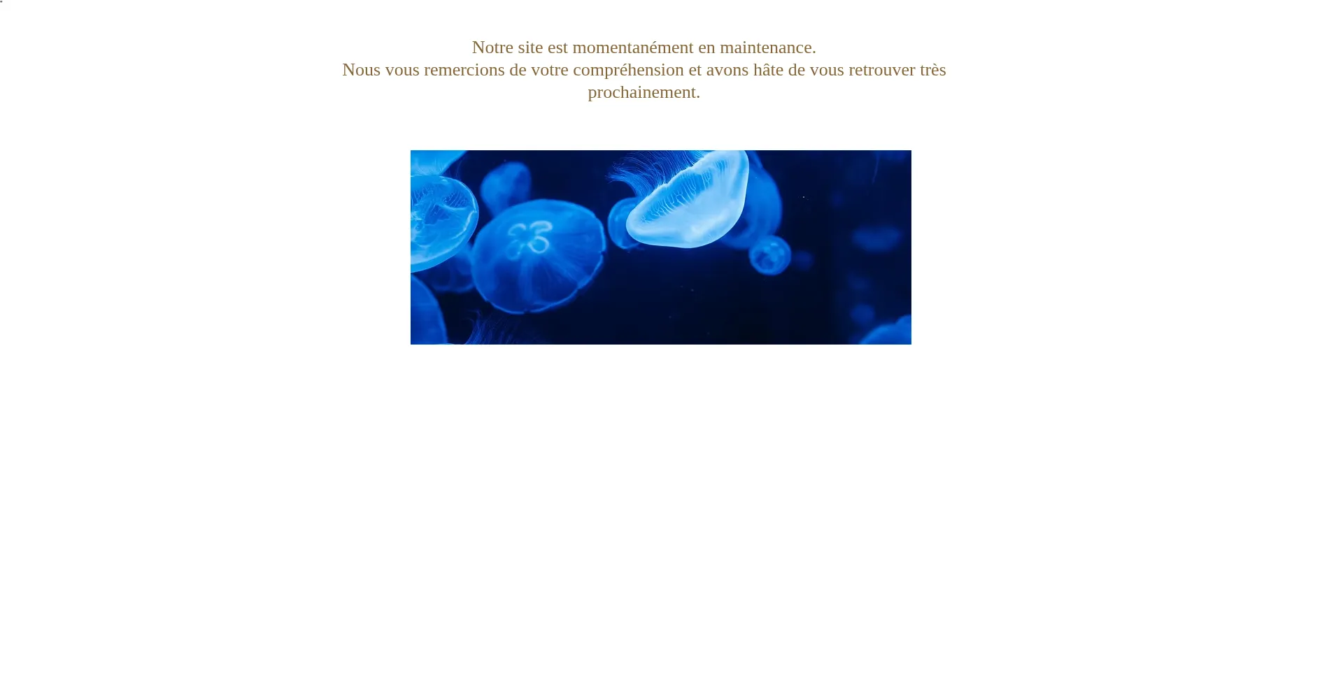 Eipparis.com Screenshot