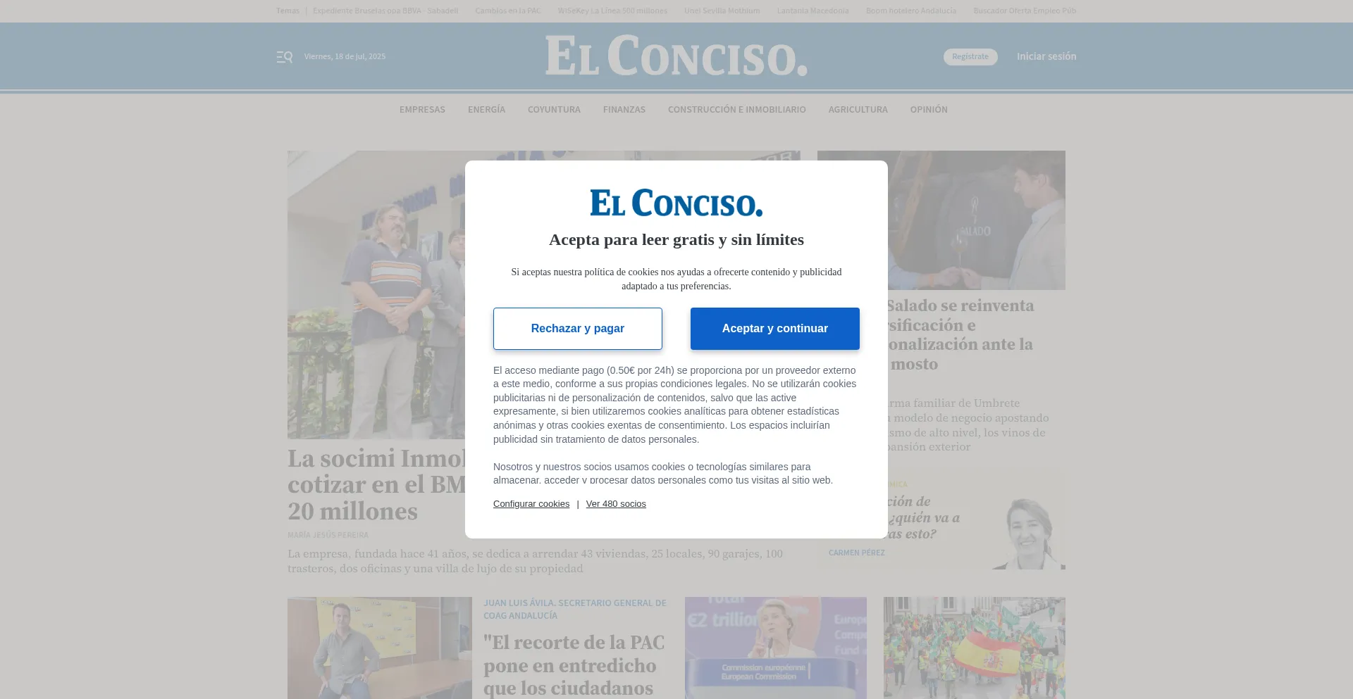 Website screenshot of Elconciso.es