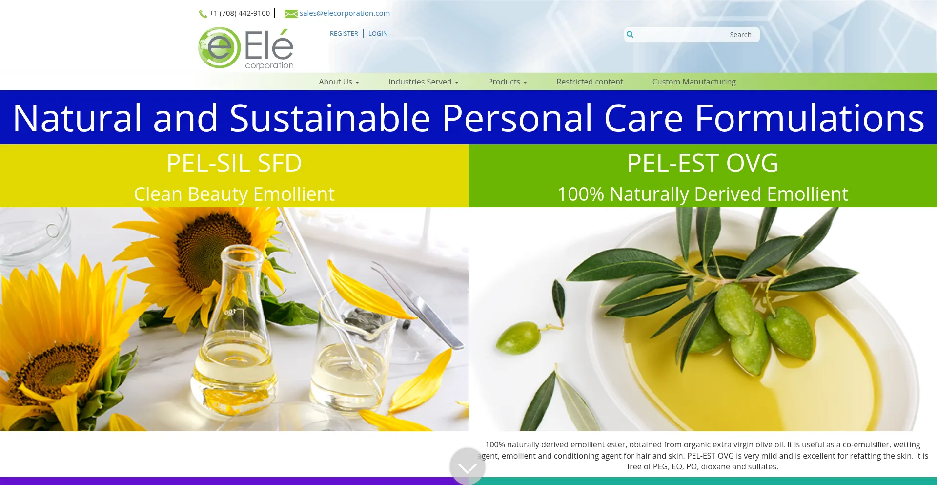 Website screenshot of Elecorporation.com