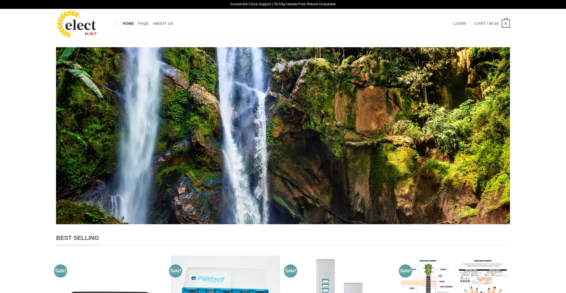 Electrostorefront.com