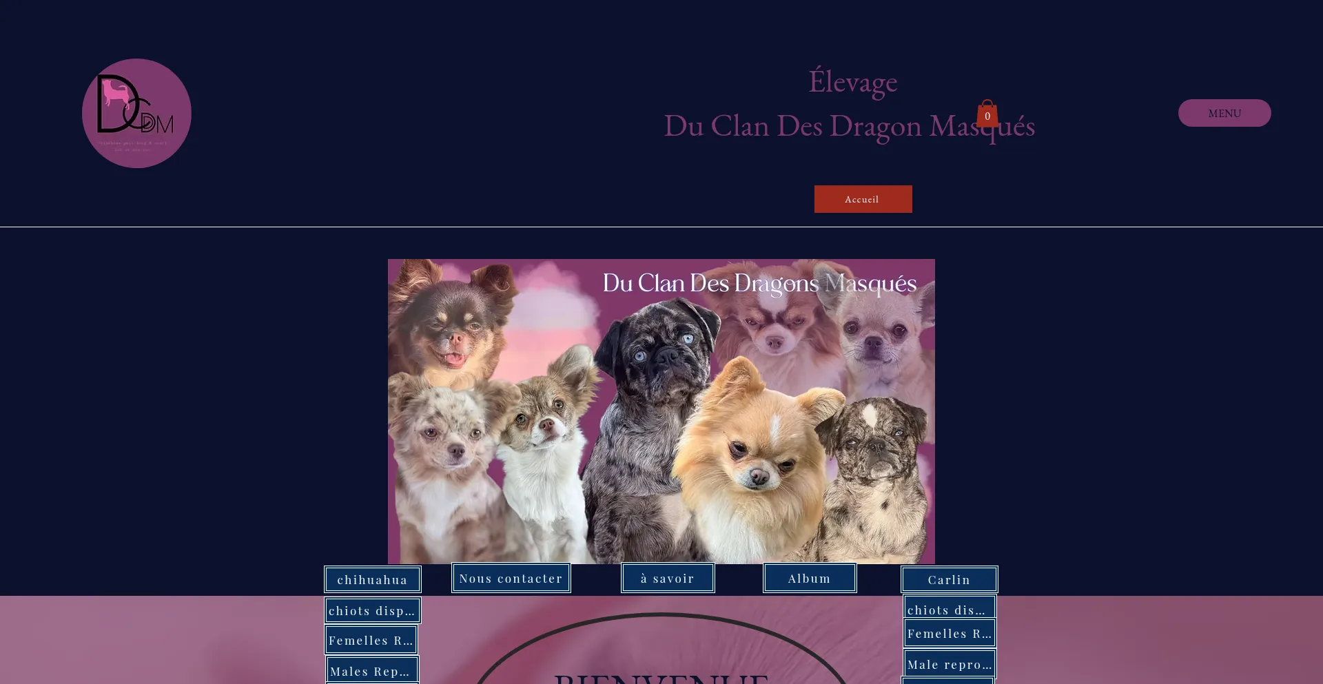 Website screenshot of Elevage-duclandesdragonsmasques.com