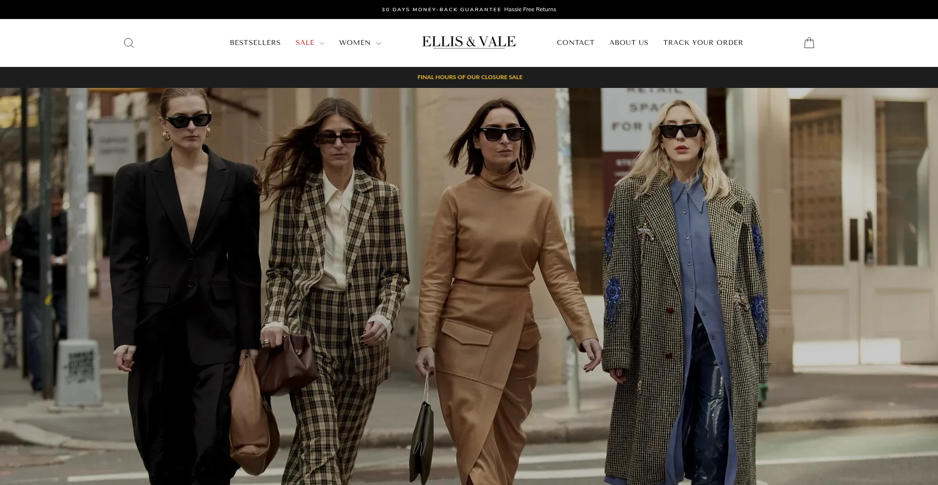 Website screenshot of Ellisandvale.com