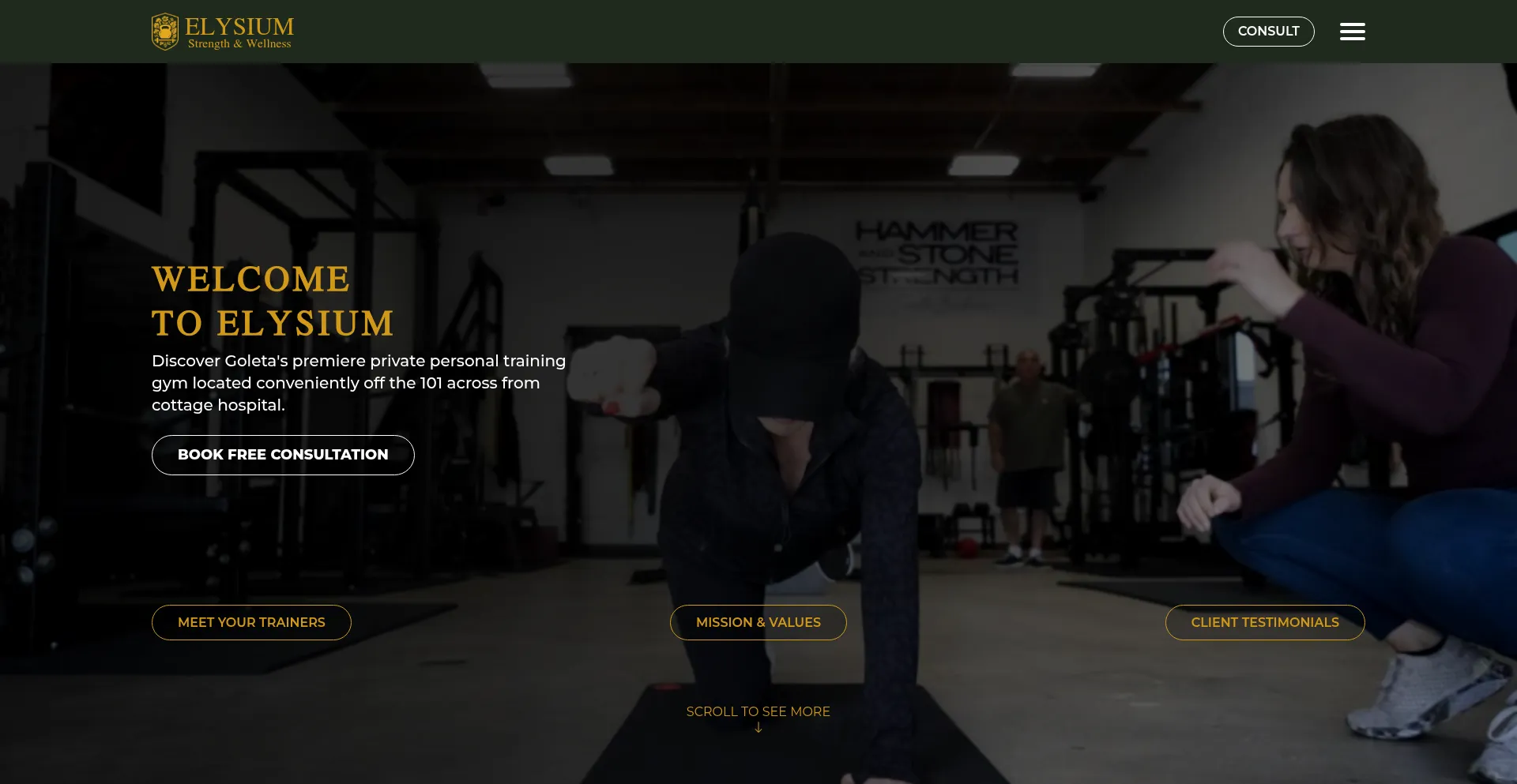 Elysium.training Screenshot