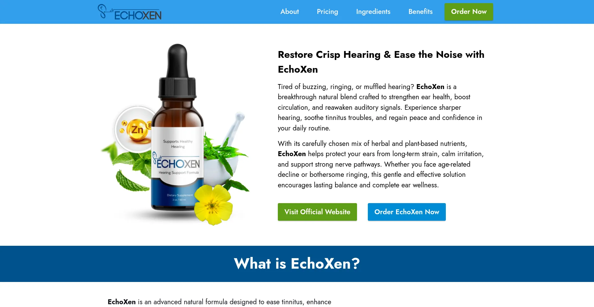 Website screenshot of En-us-echoxen.us