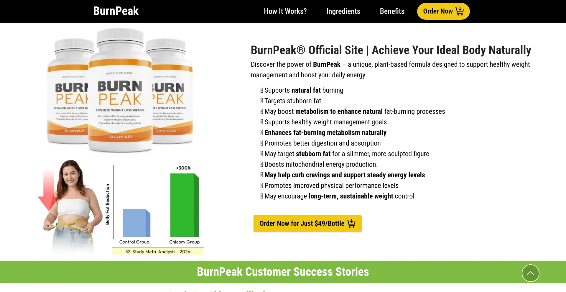 ¿És Seguro y Confiable En-us-en-burnpeak.com?