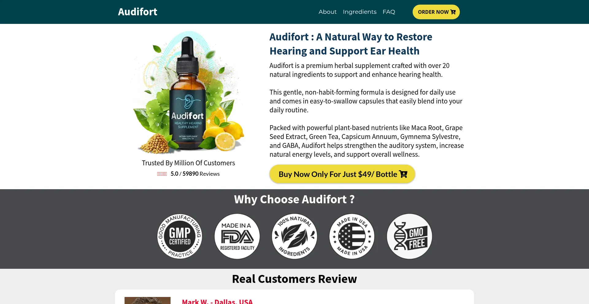 Website screenshot of En-usa-en-audifort.com