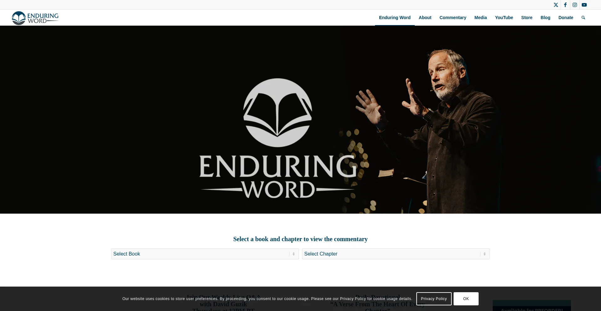 Website screenshot of Enduringword.com