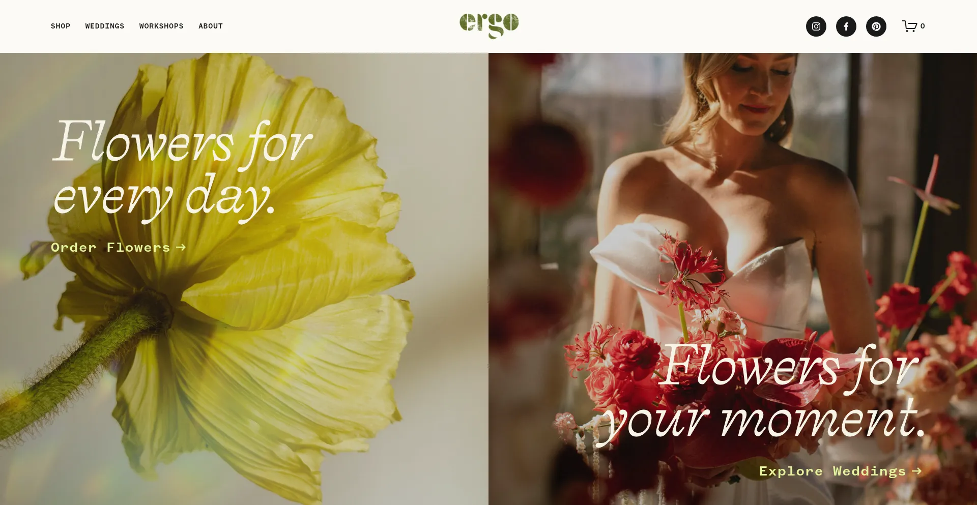 Website screenshot of Ergofloral.com