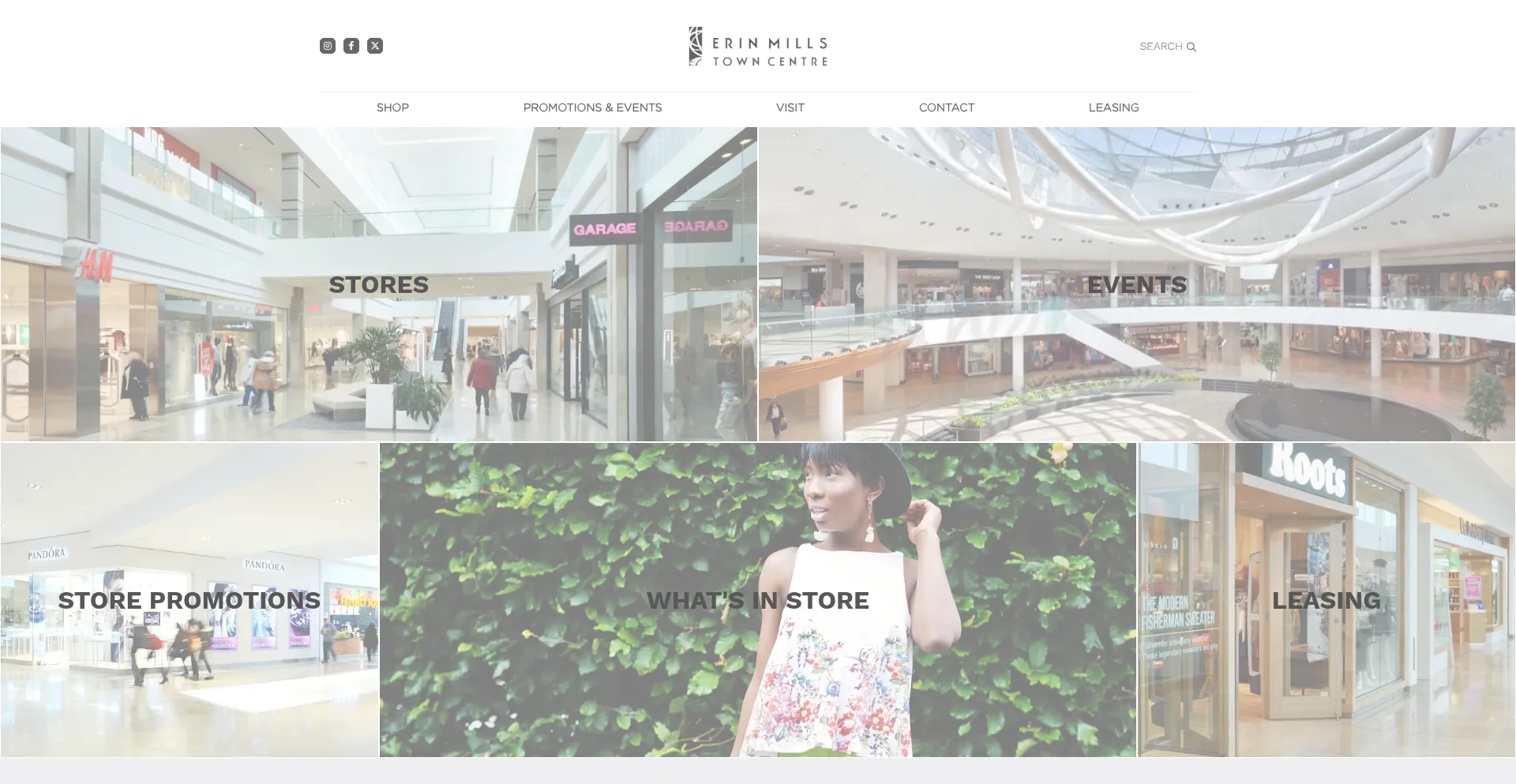 Website screenshot of Erinmills.ca