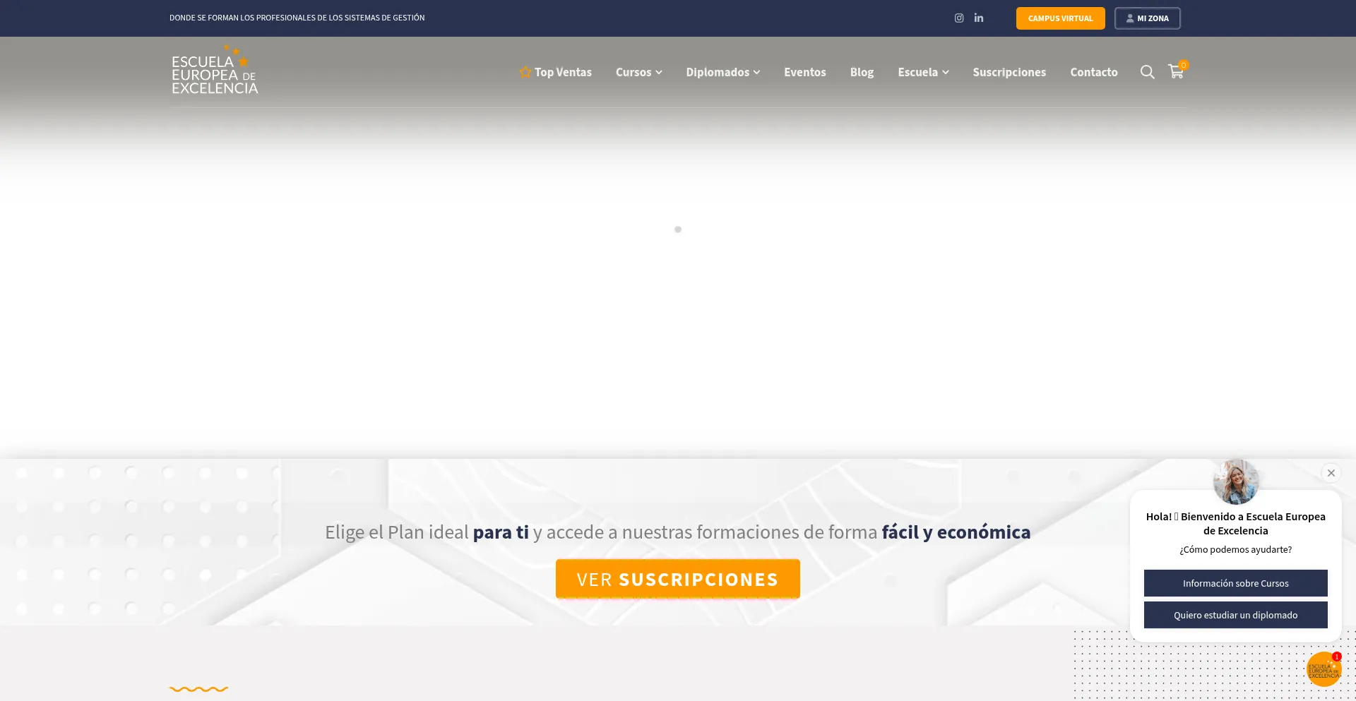 Website screenshot of Escuelaeuropeaexcelencia.com