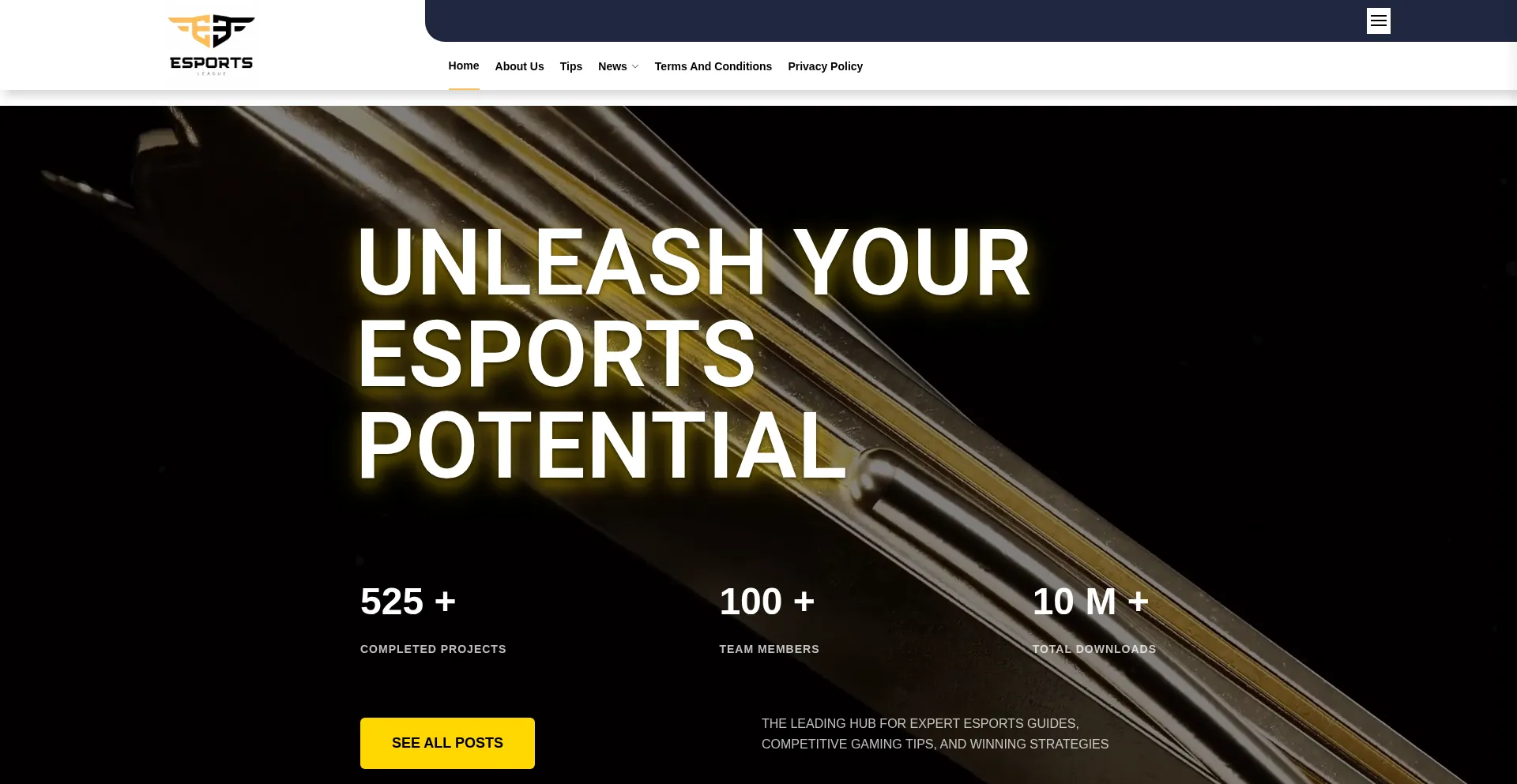 Esportsleaguetips.com