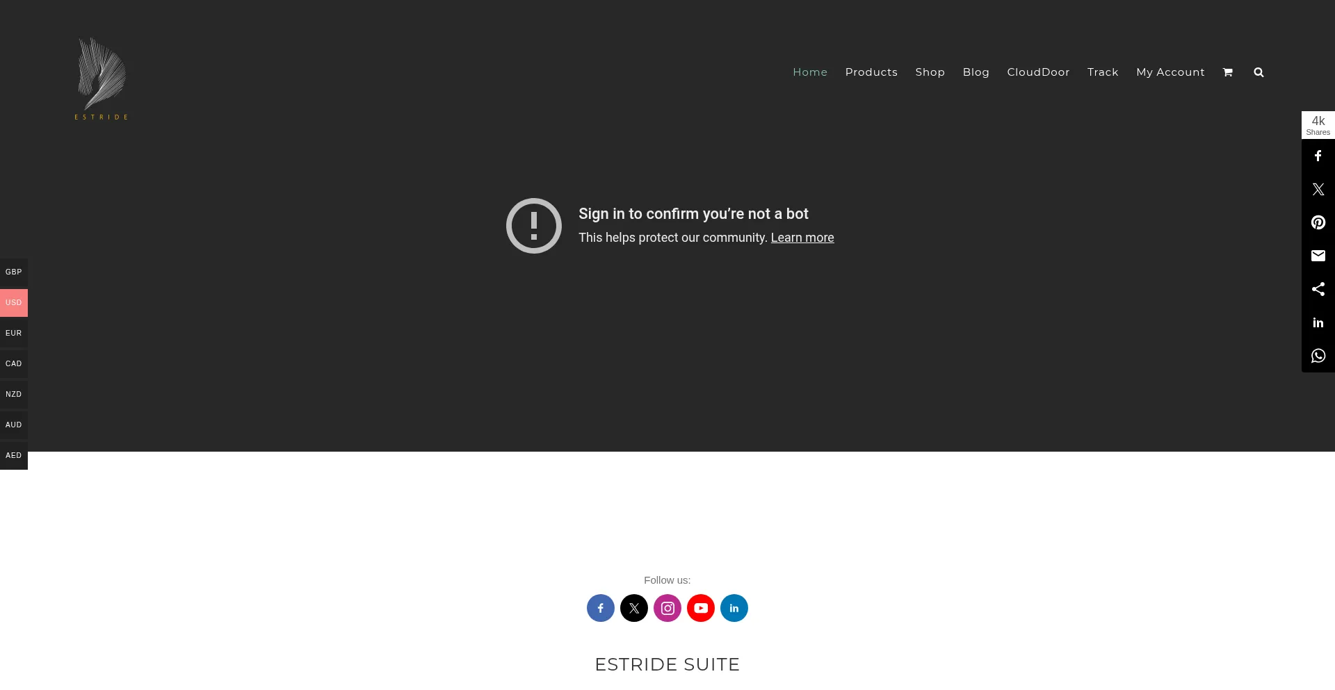 Website screenshot of Estride.store