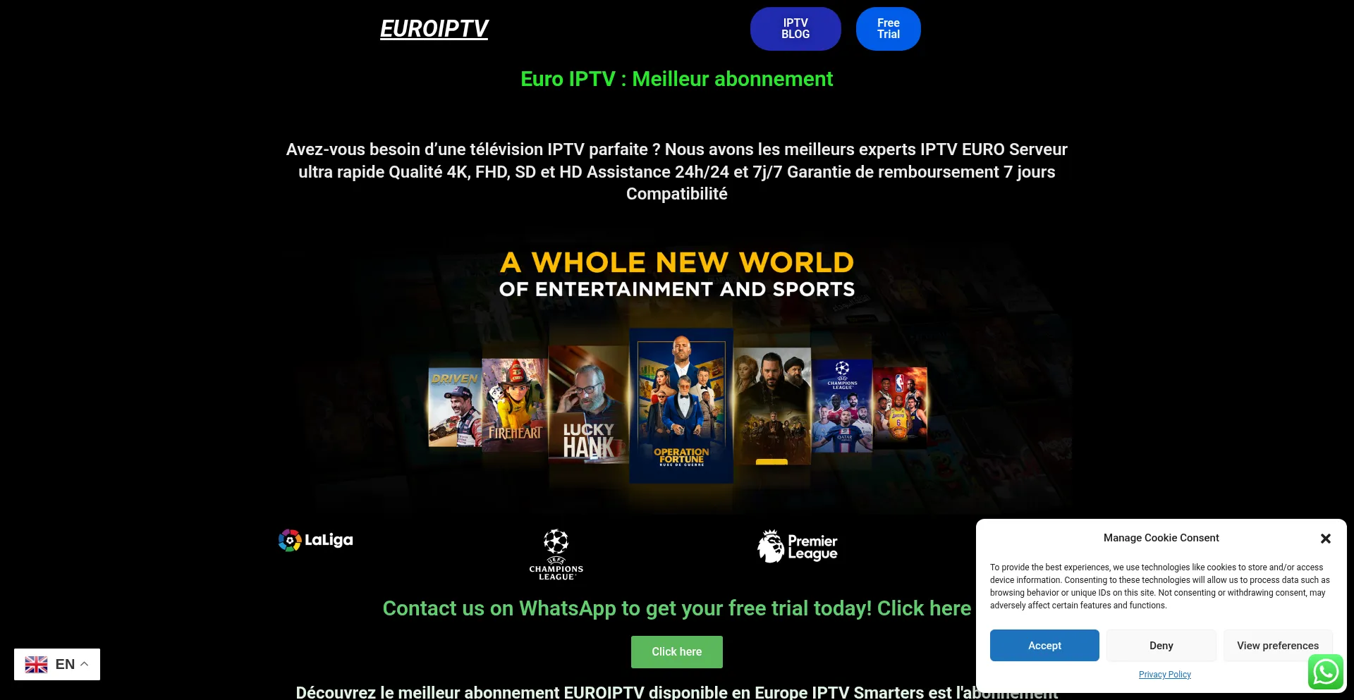 Website screenshot of Euroiptv.shop
