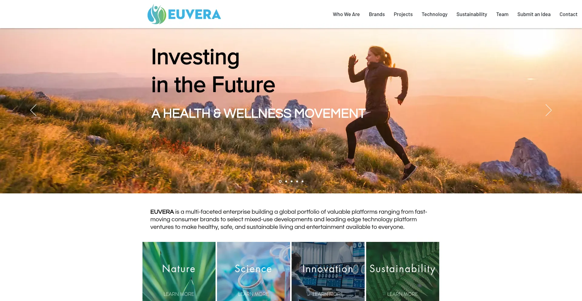 Euveraholdings.com