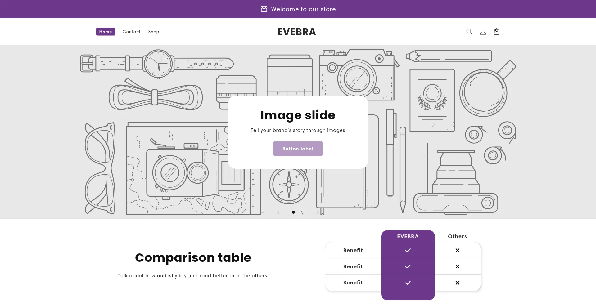 Website screenshot of Evebra.com