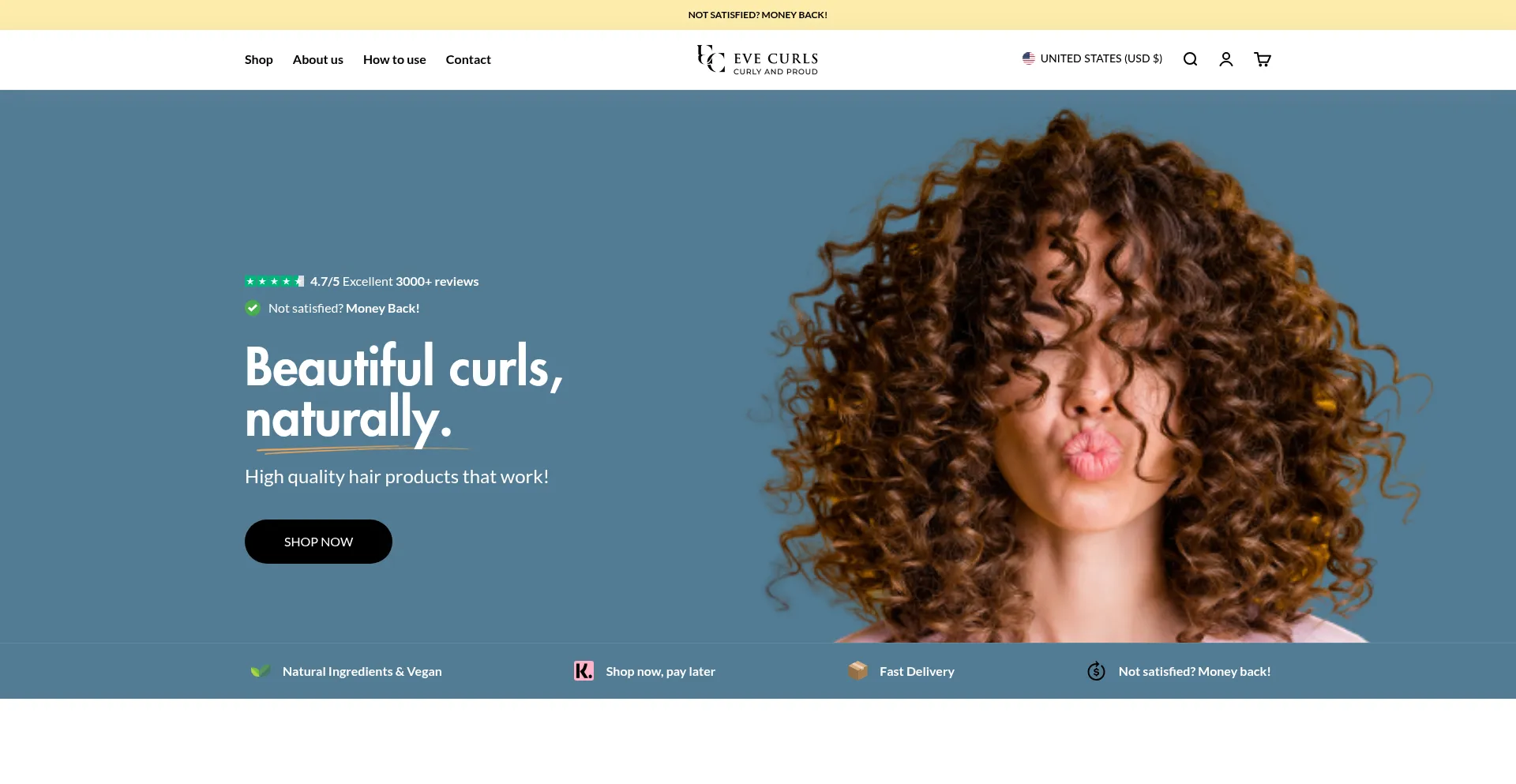 Website screenshot of Evecurls.com