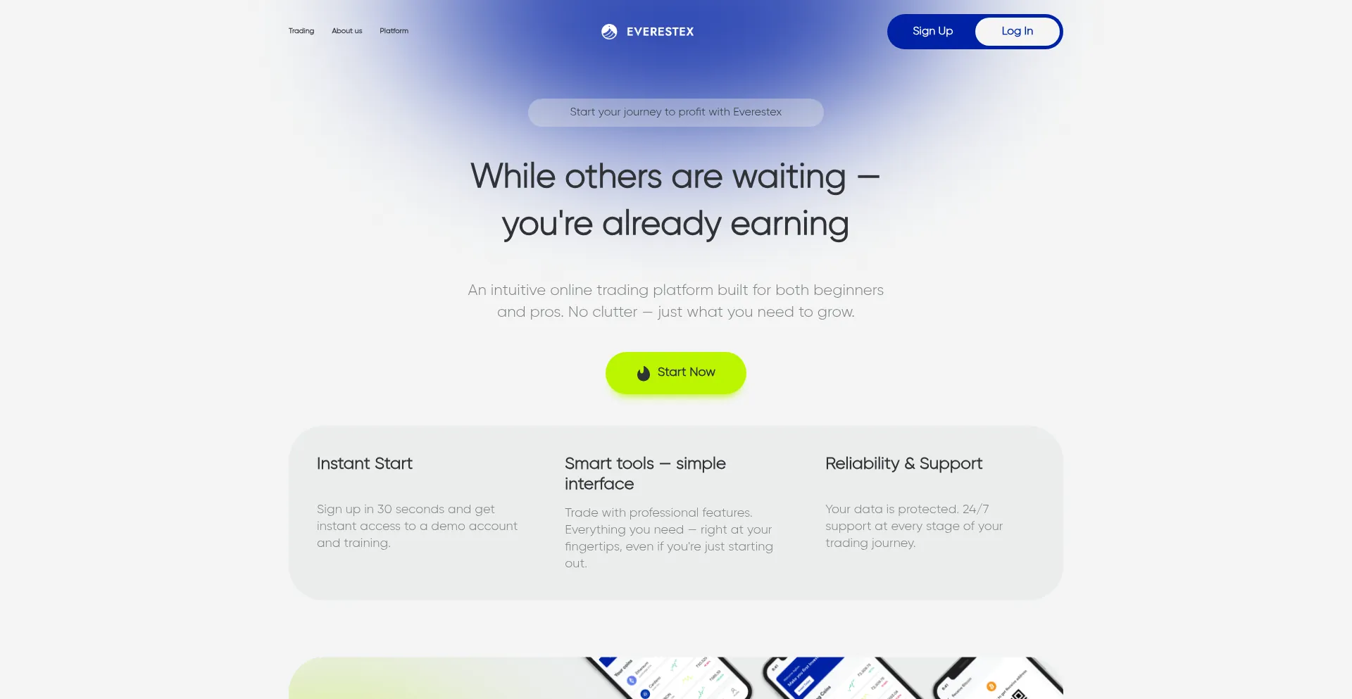 Website screenshot of Everestex.exchange