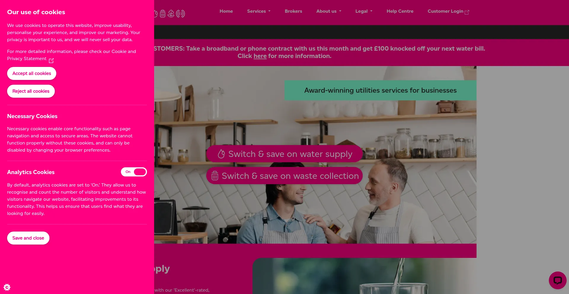 ¿És Seguro y Confiable Everflowutilities.com?