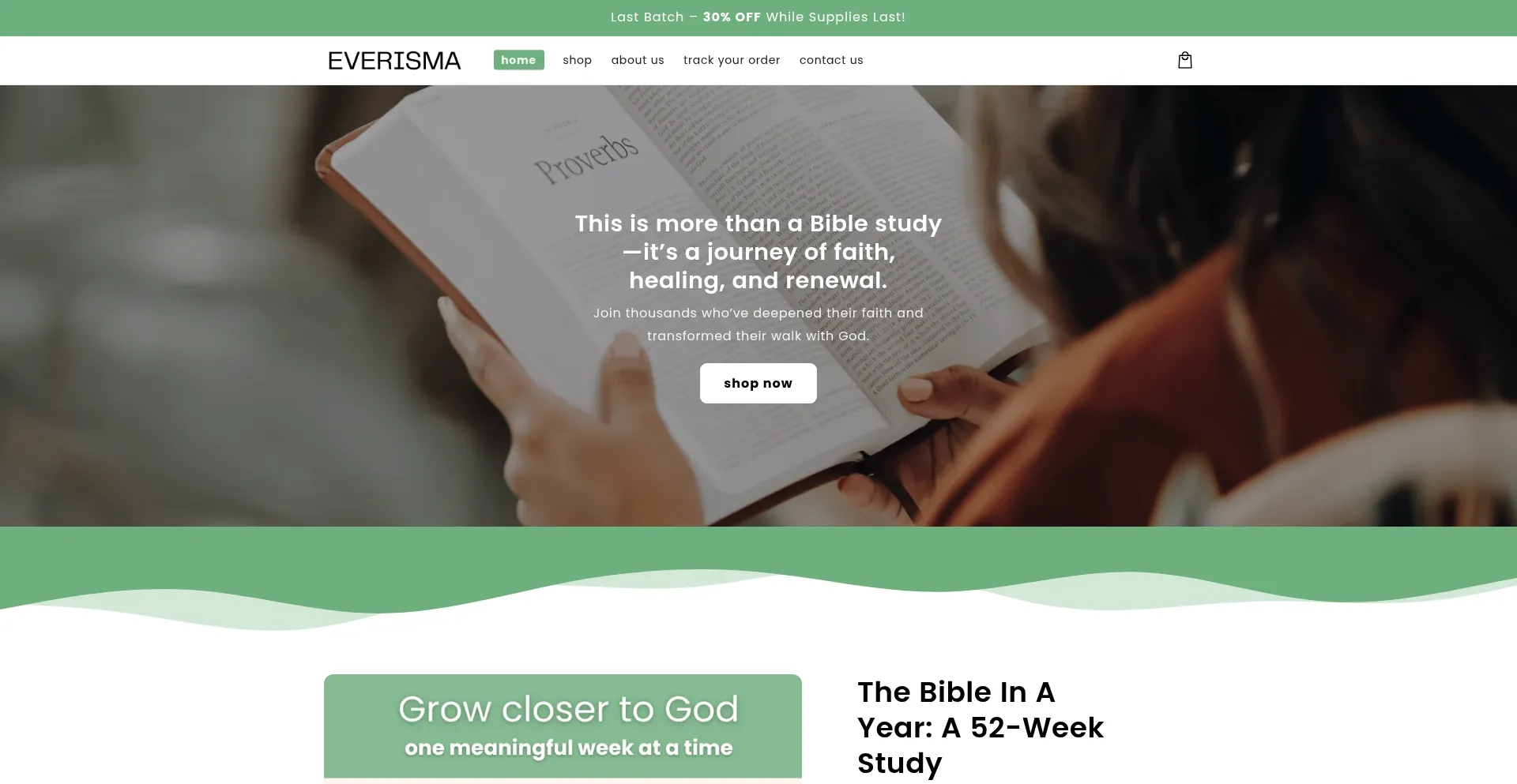 Website screenshot of Everisma.com