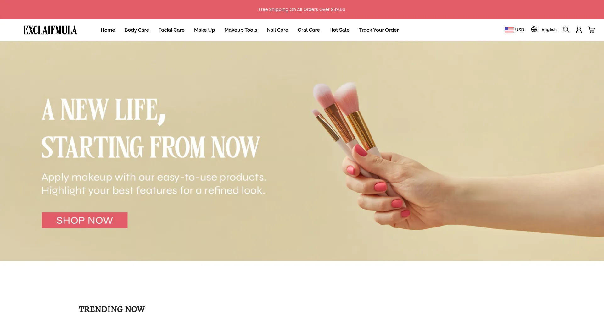 Website screenshot of Exclaifmula.com