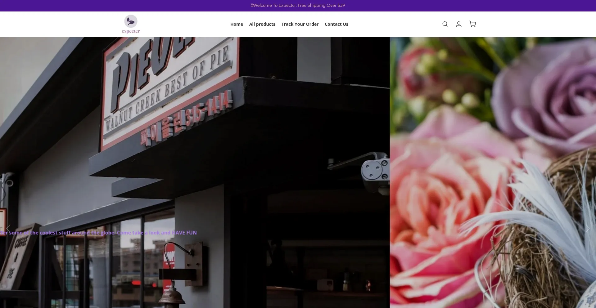 Website screenshot of Expectcr.com