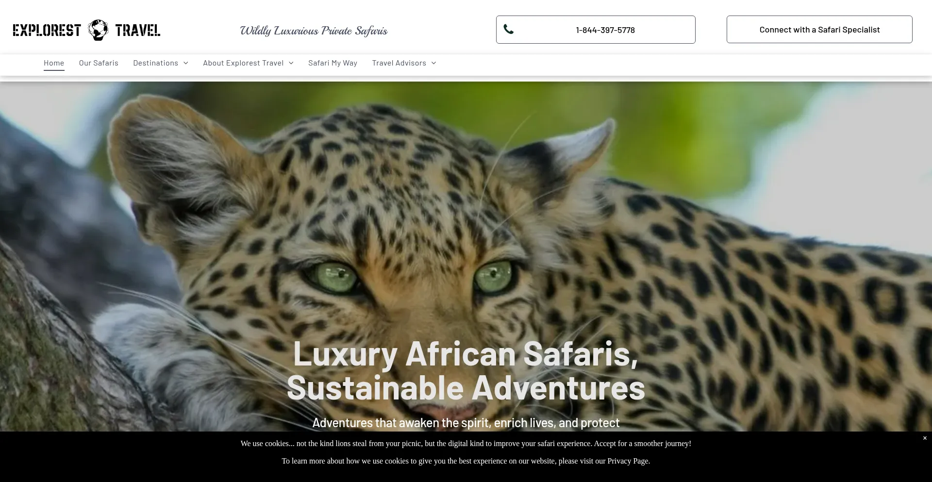 Website screenshot of Explorest-travel.com
