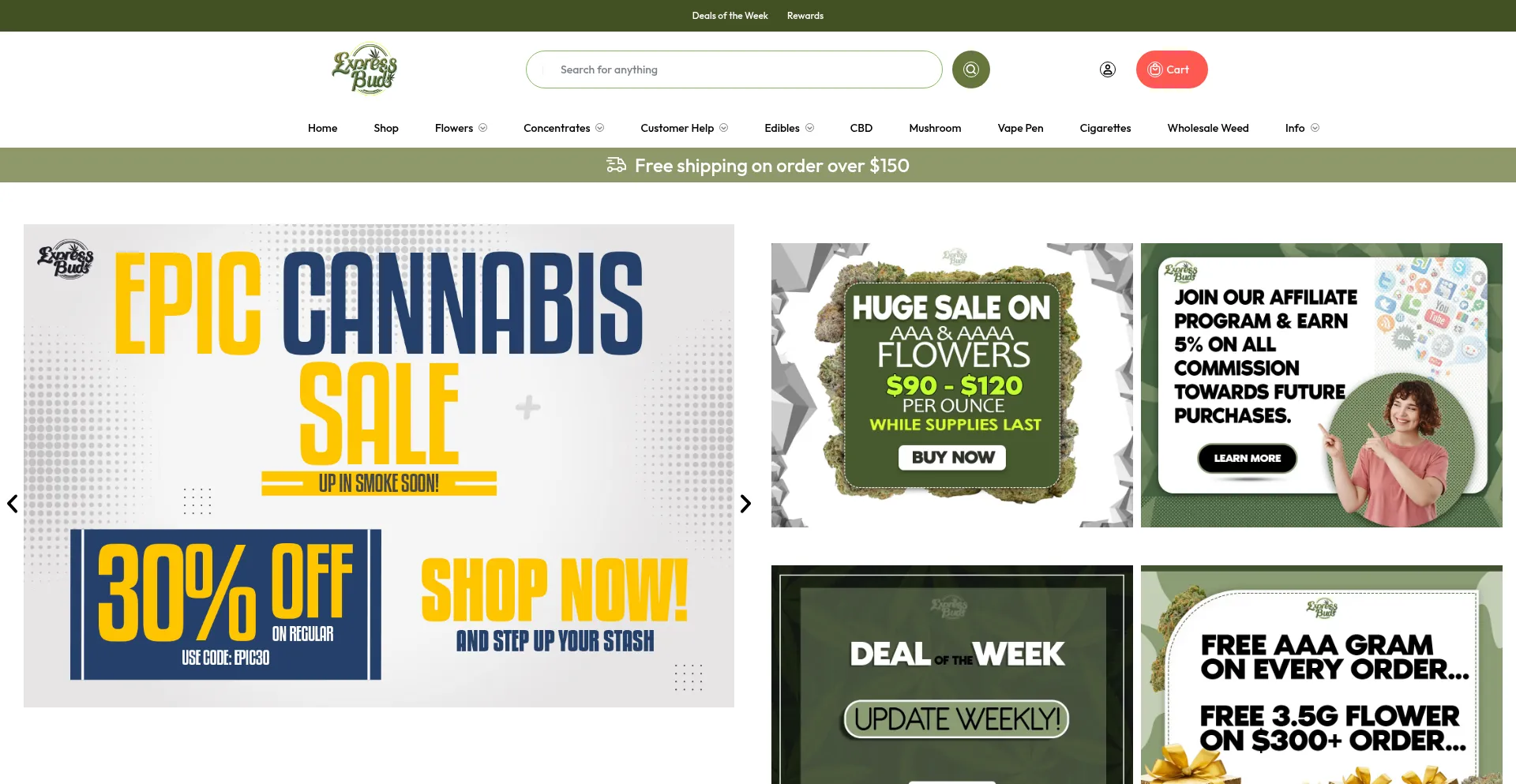 Website screenshot of Expressbuds.ca