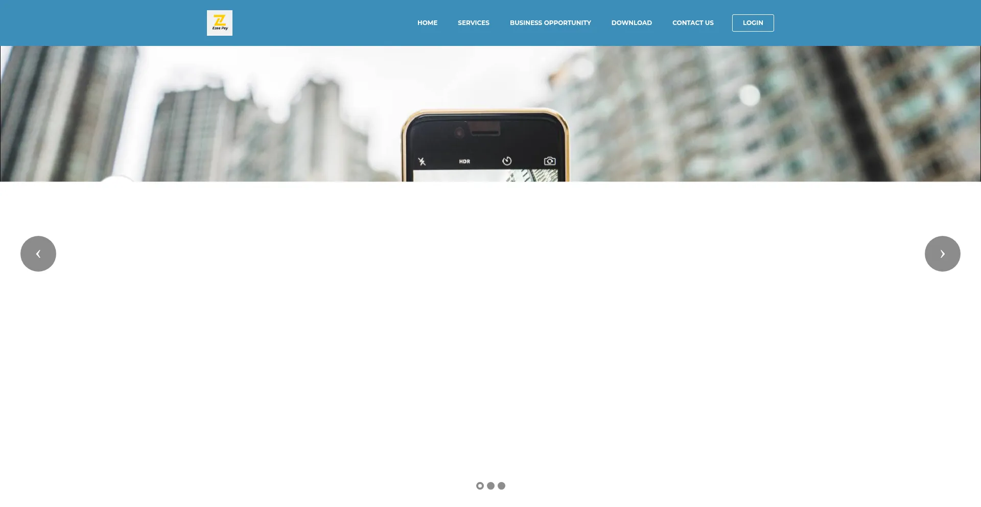 Website screenshot of Ezeepey.com