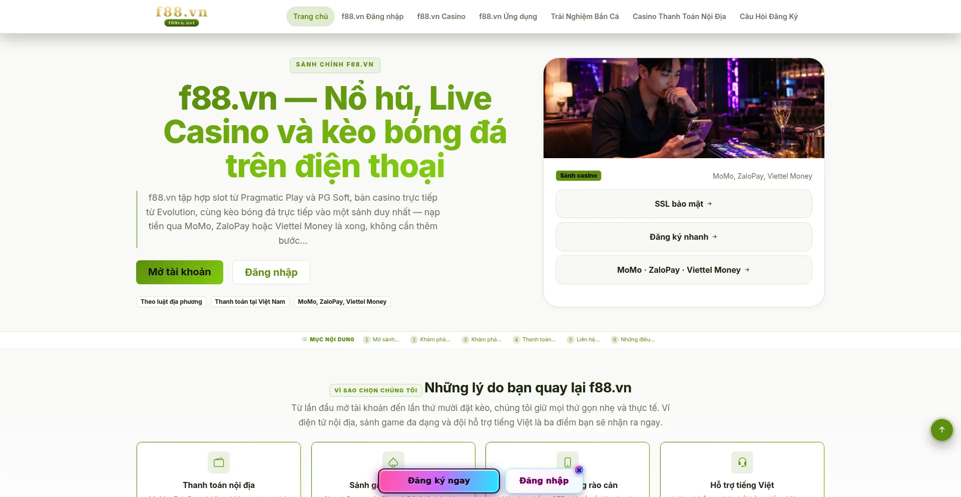 F88vn.net