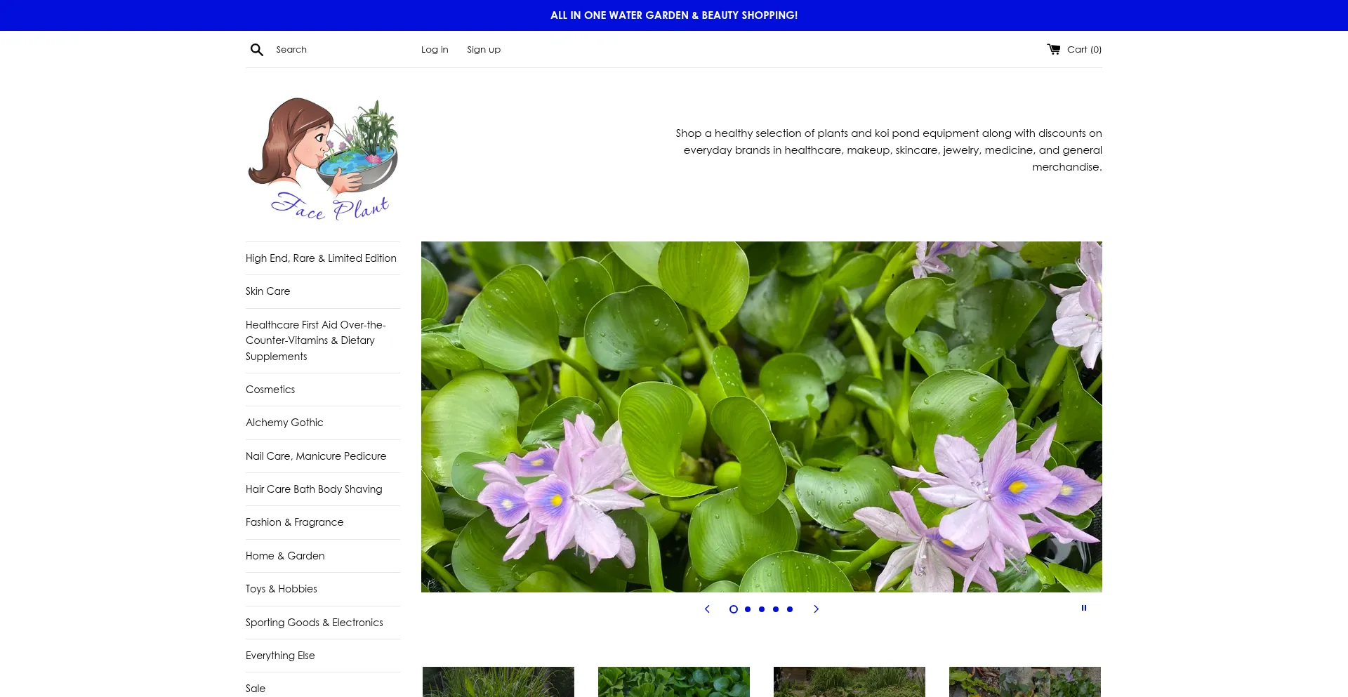 Website screenshot of Faceplantshop.com