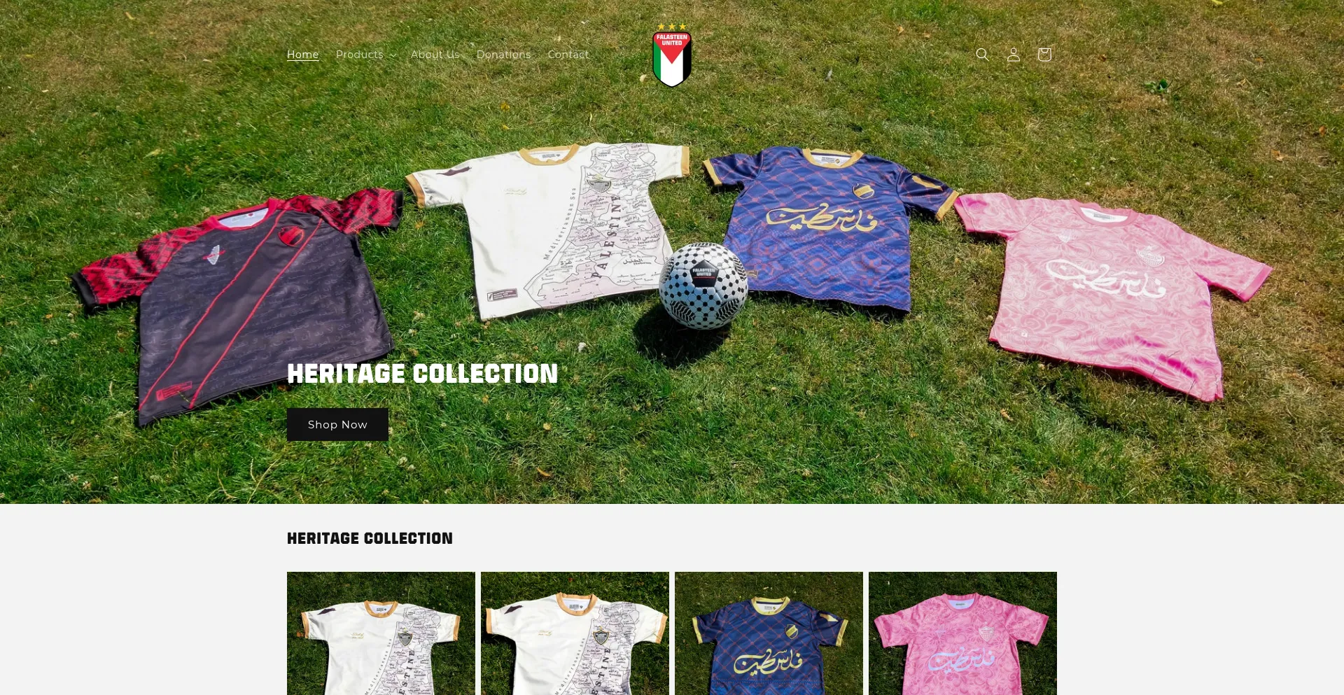 Website screenshot of Falasteenunited.com