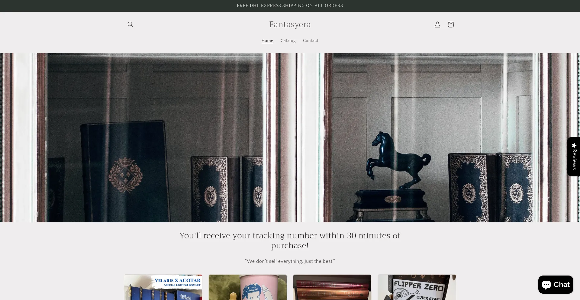 Website screenshot of Fantasyera.store