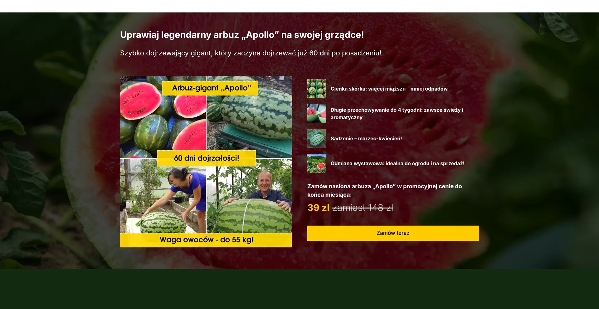 Website screenshot of Fasterek.com