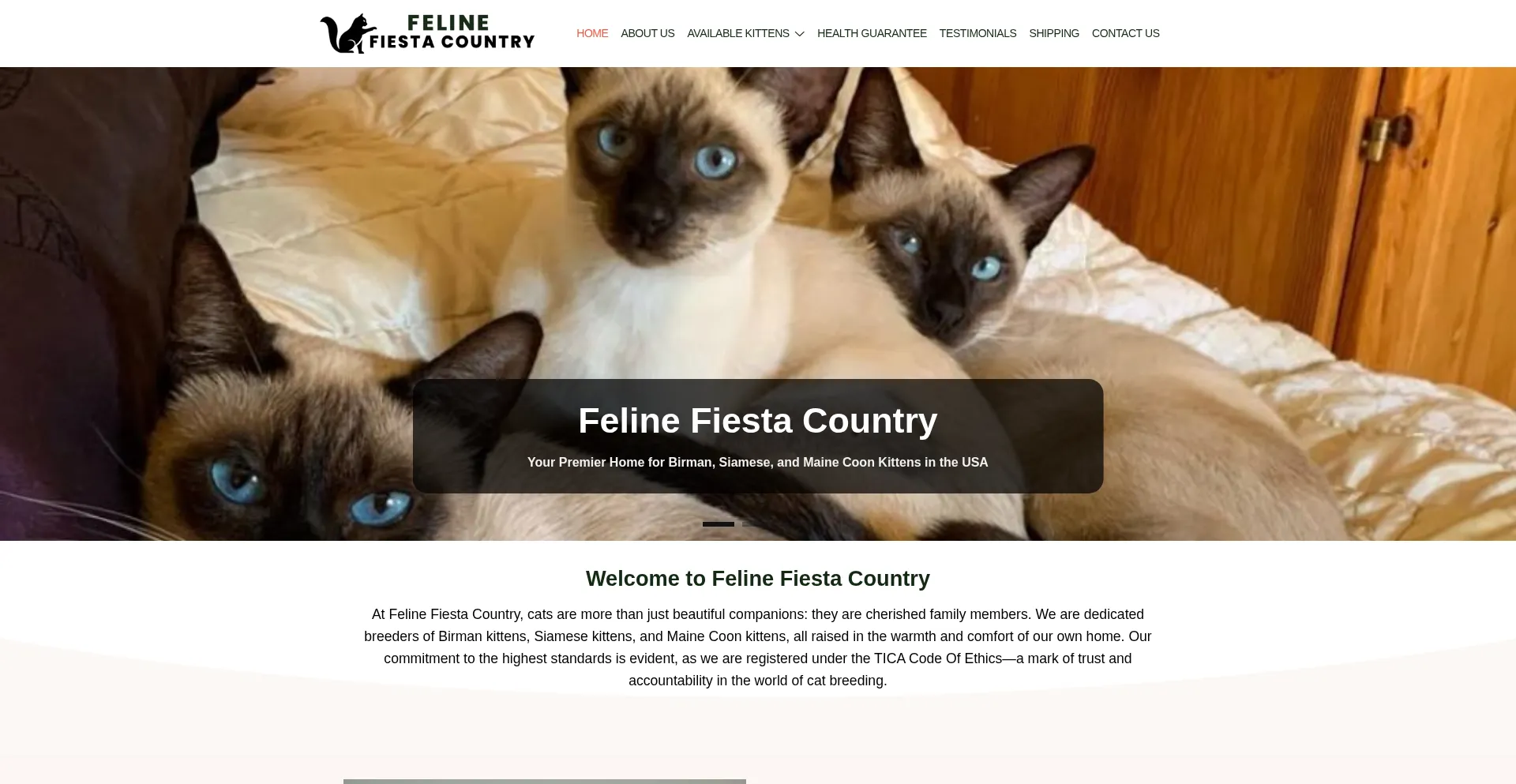 Website screenshot of Felinefiestacountry.com