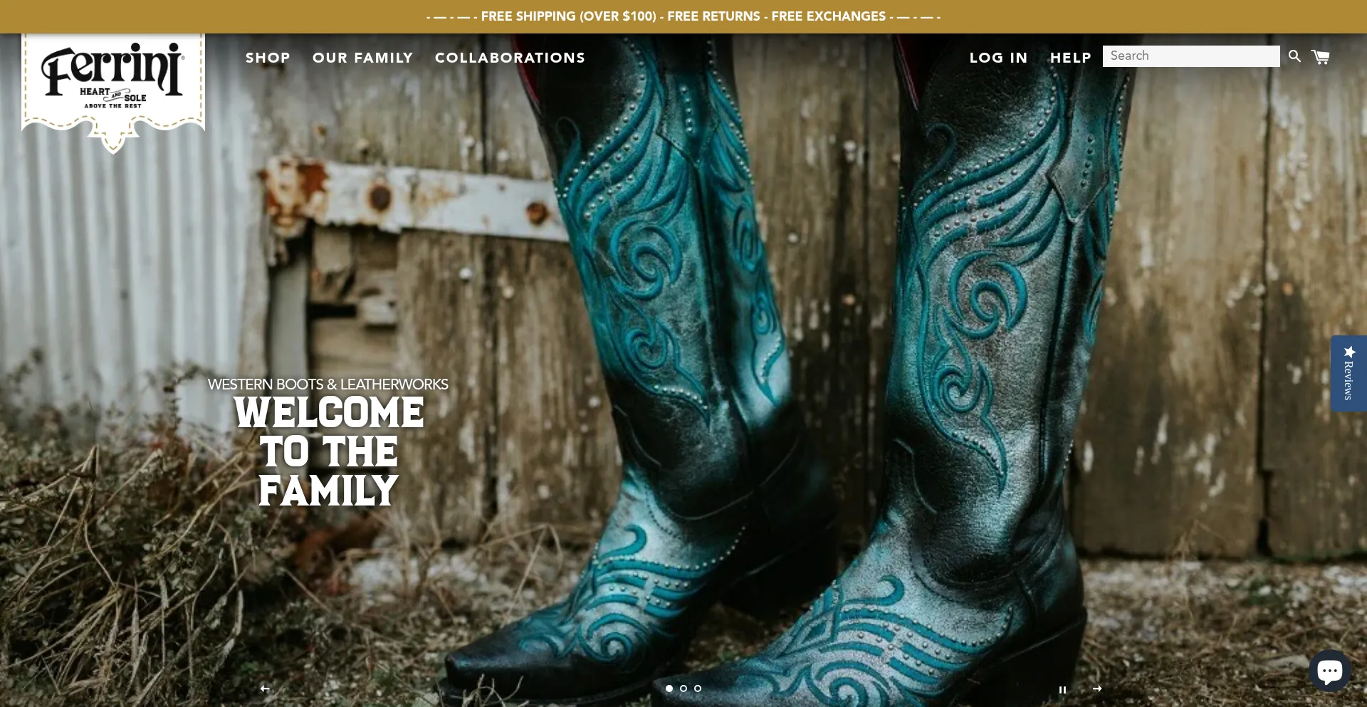 Website screenshot of Ferriniusa.com