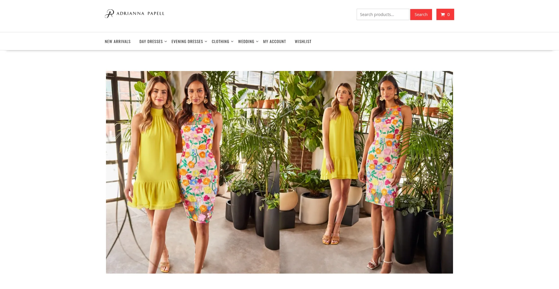 ¿És Seguro y Confiable Fionayera.shop?