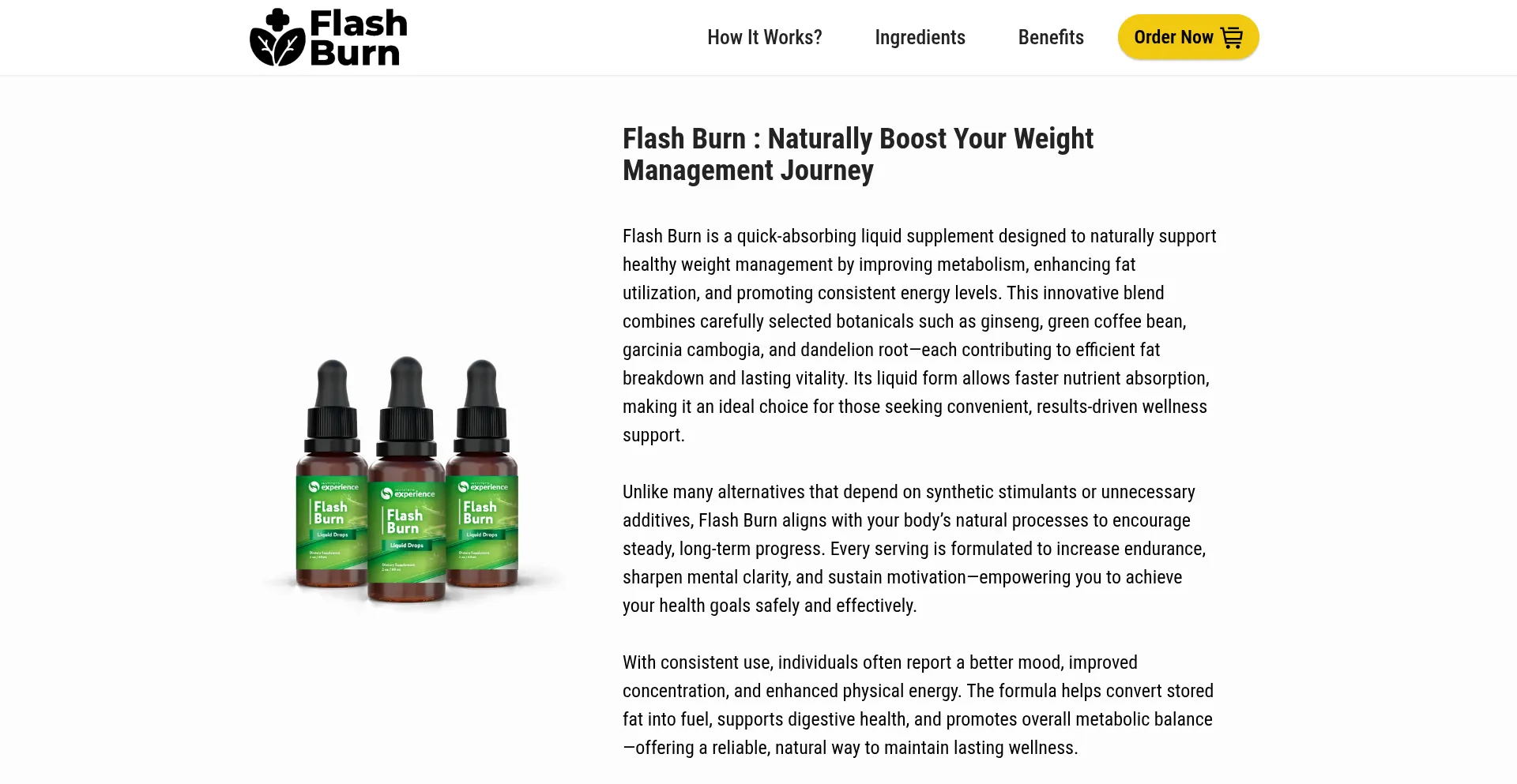 Flashbern.com