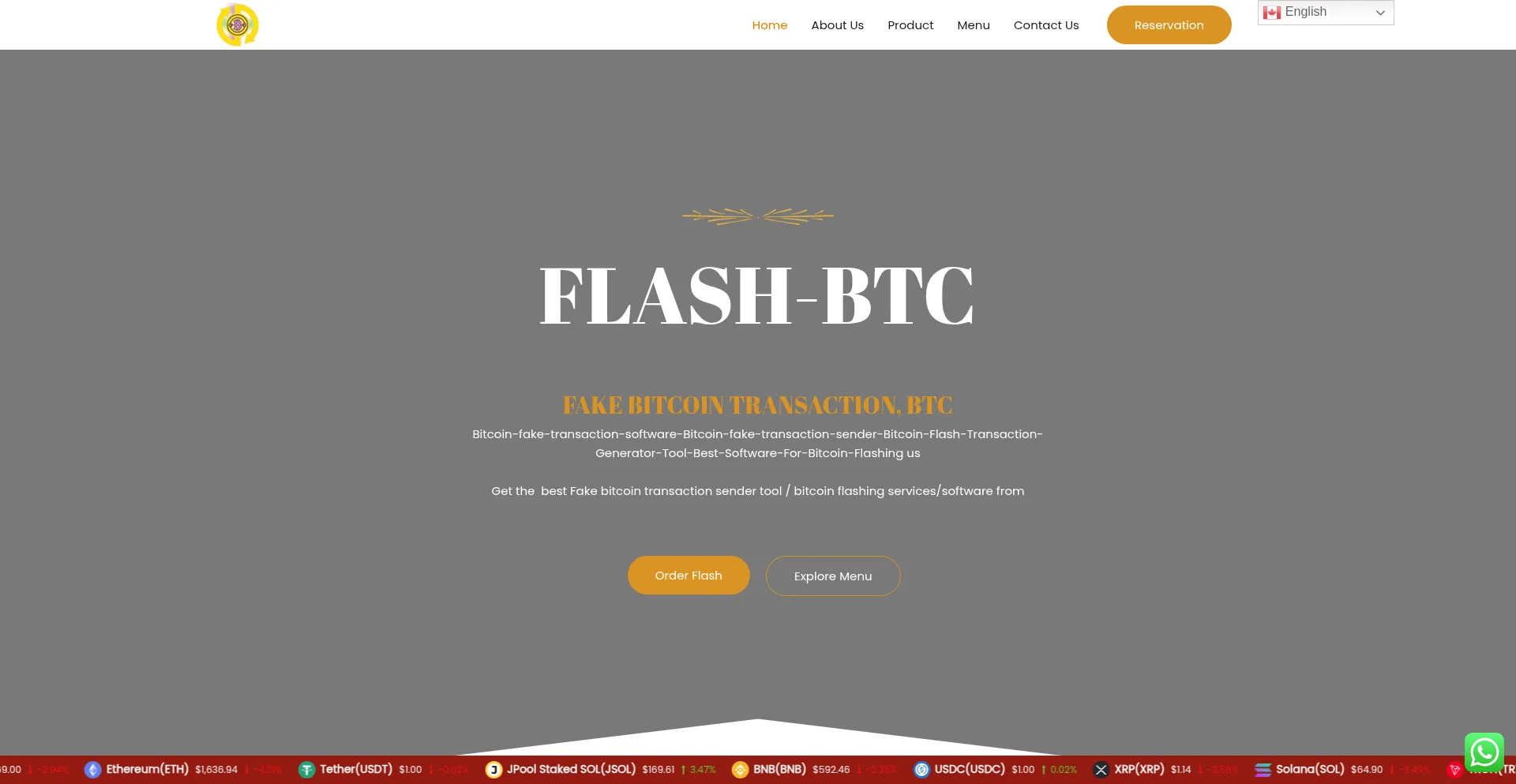 Flashbitcoinsoftware.com