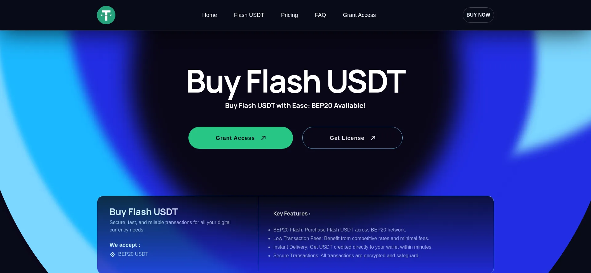 Website screenshot of Flashusdt.io