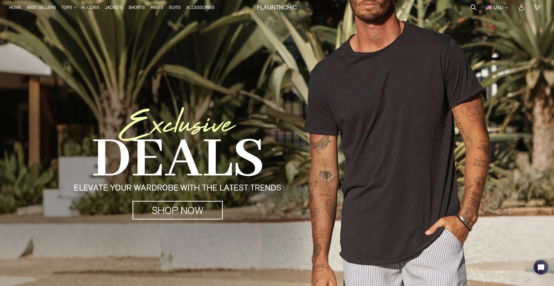 Website screenshot of Flauntnchic.com