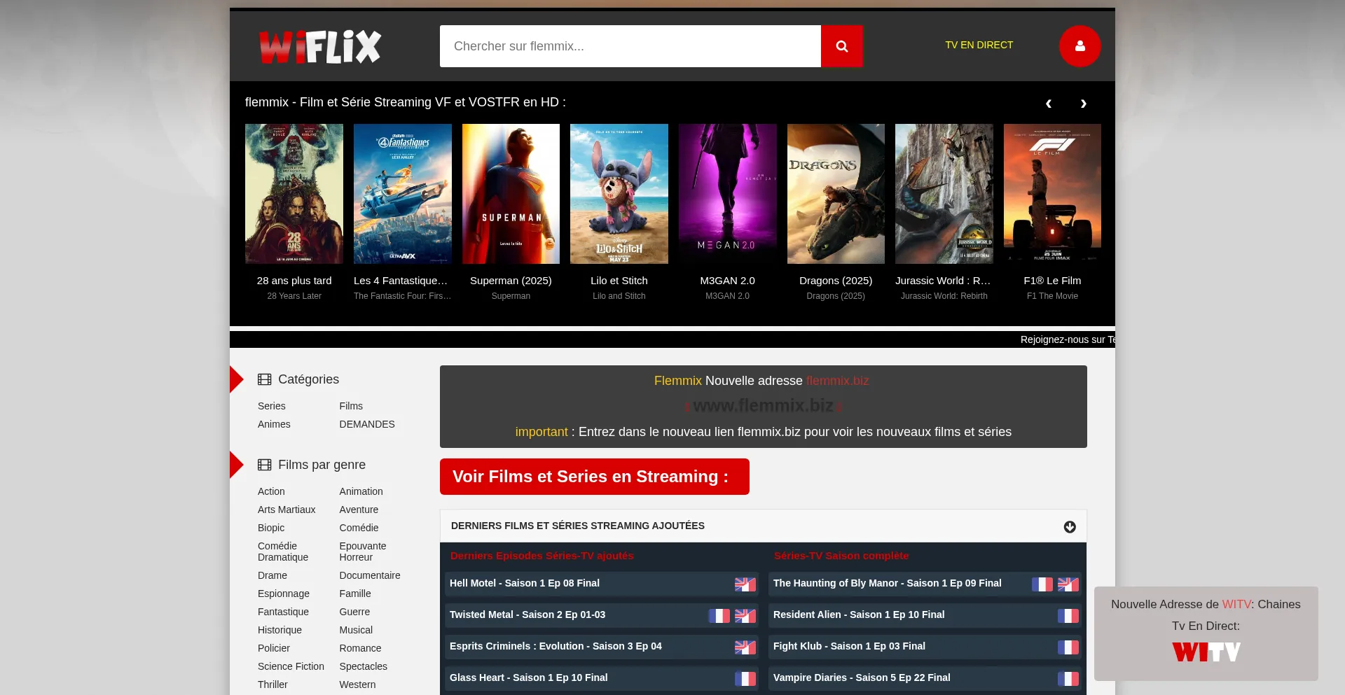 Website screenshot of Flemmix.biz