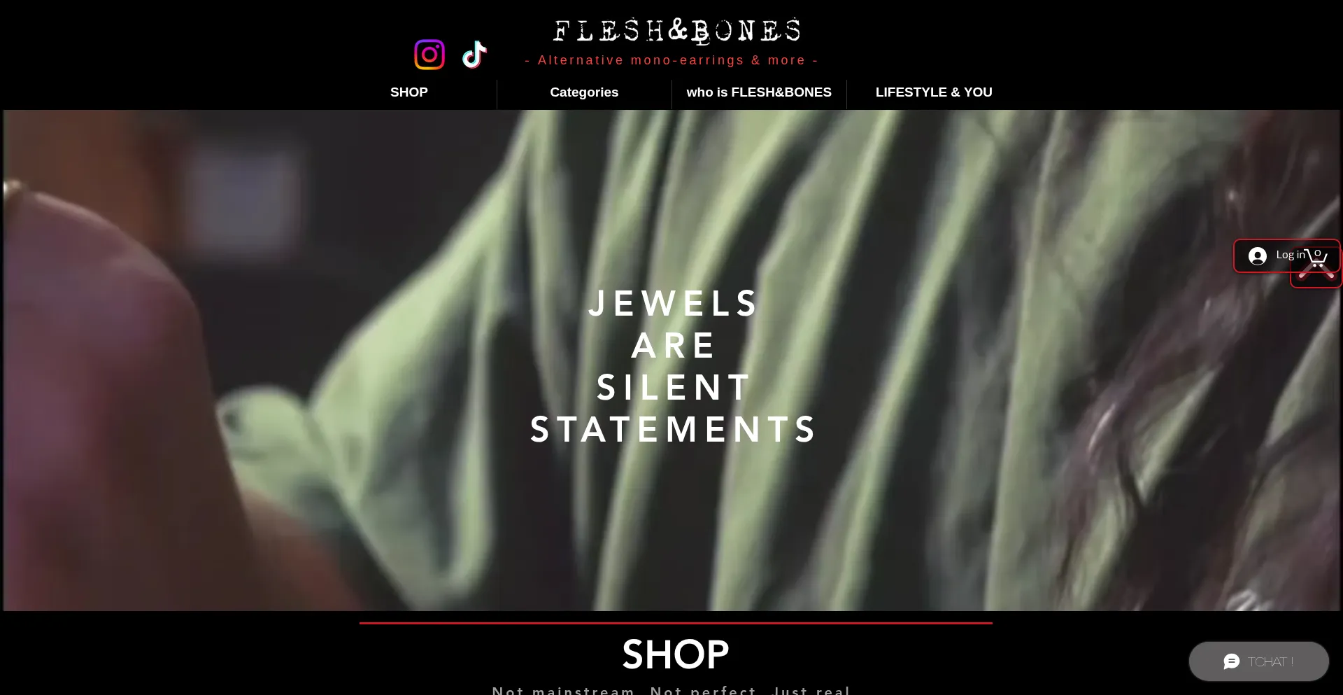 Website screenshot of Fleshandbones.fr