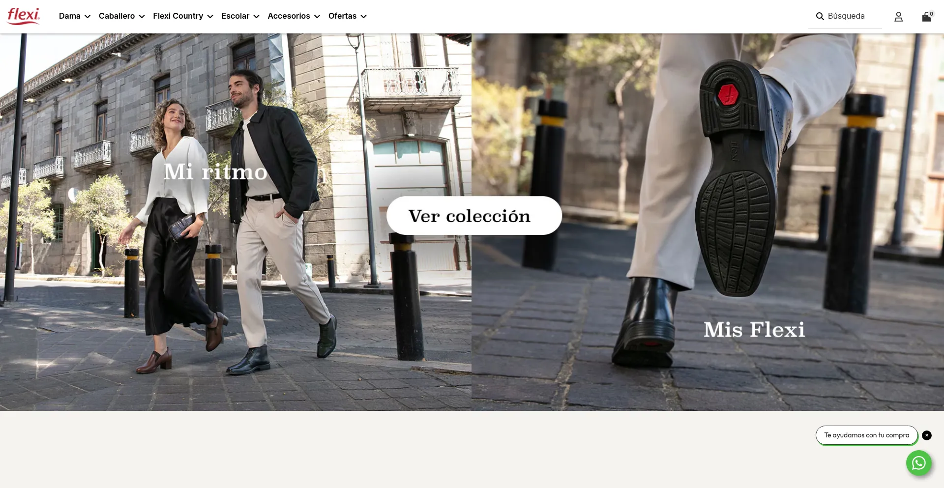 Flexi.com.mx Screenshot