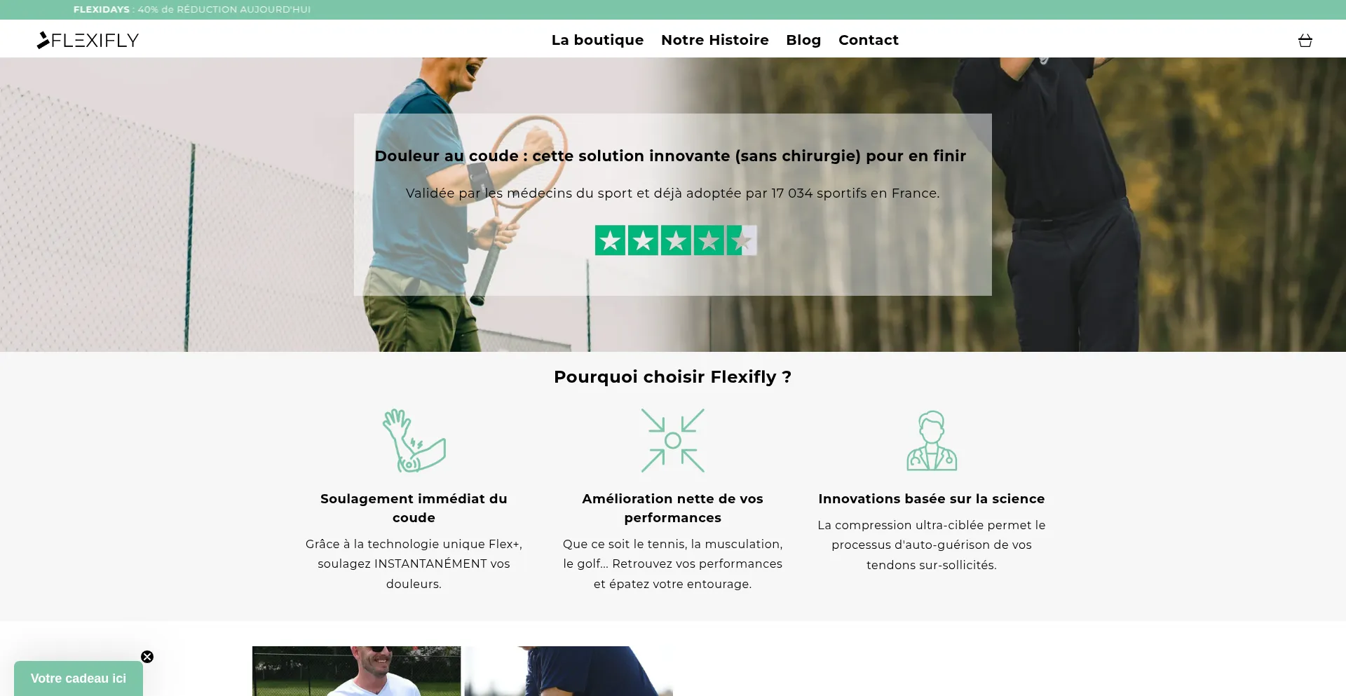 Website screenshot of Flexifly.fr