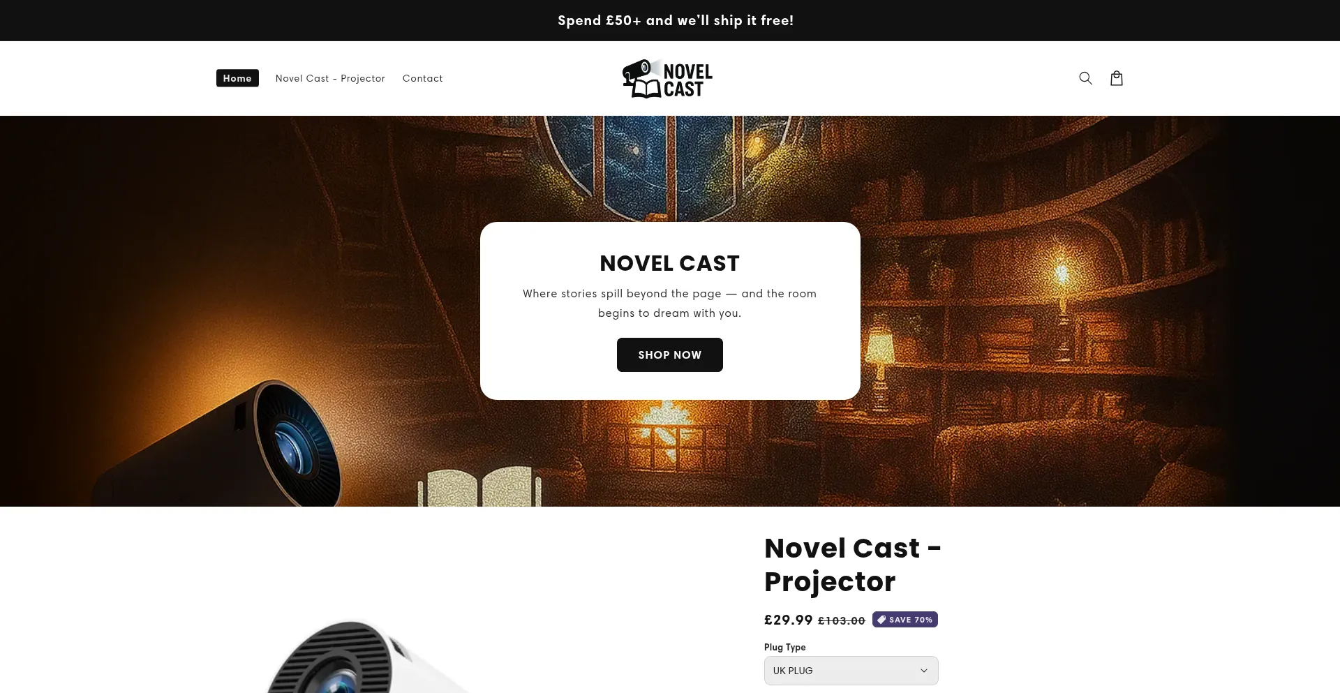 Website screenshot of Flyksie.com