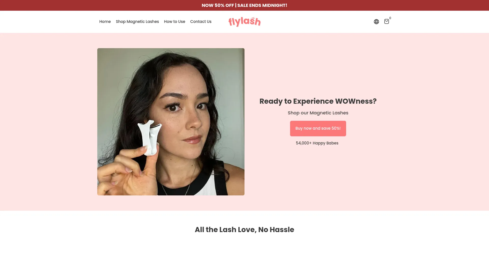 Website screenshot of Flylash.shop