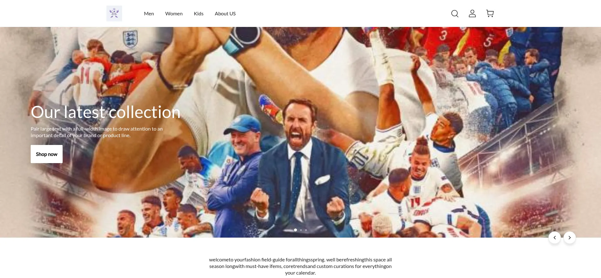 Website screenshot of Footballqiqistore.com