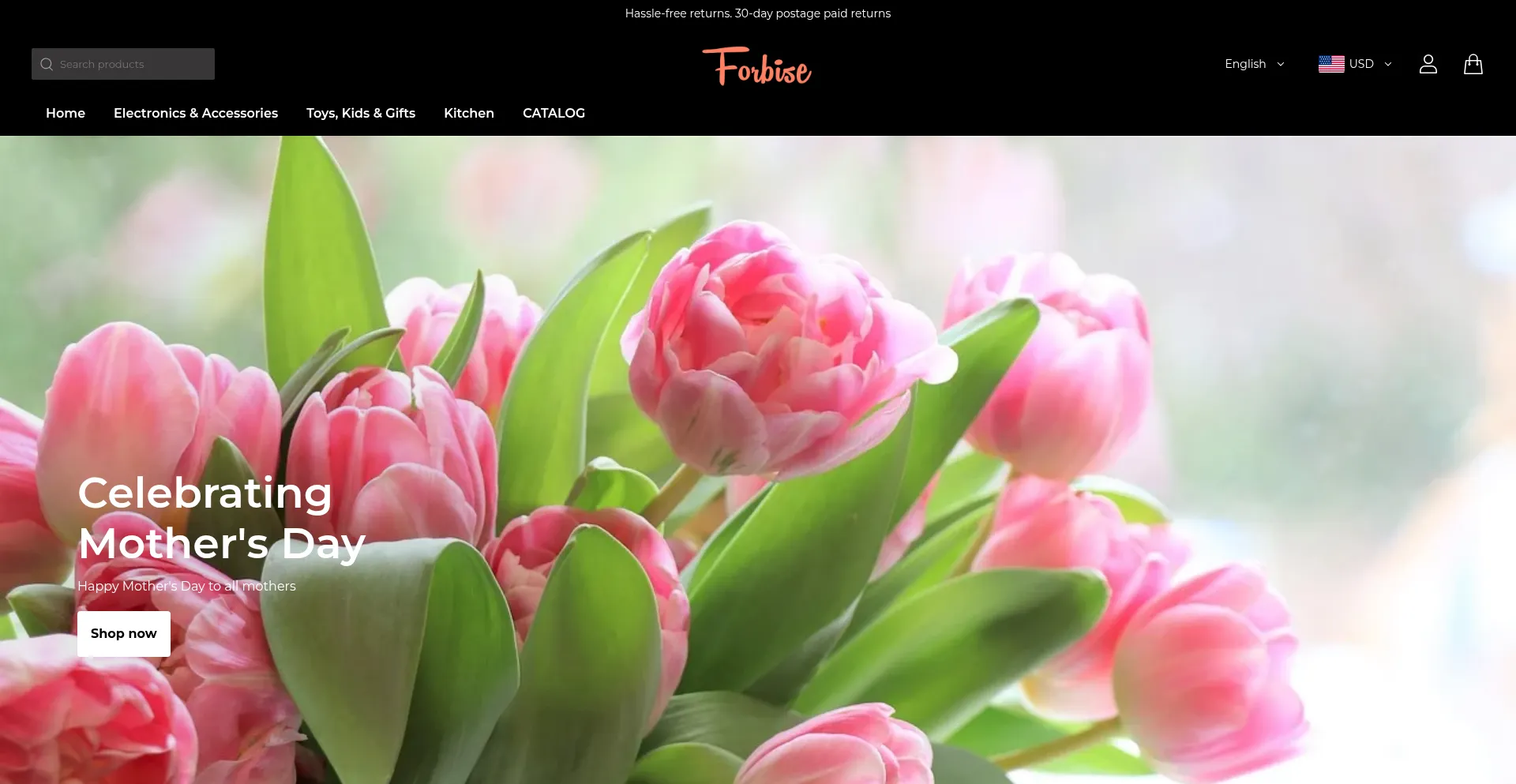 Website screenshot of Forbise.com
