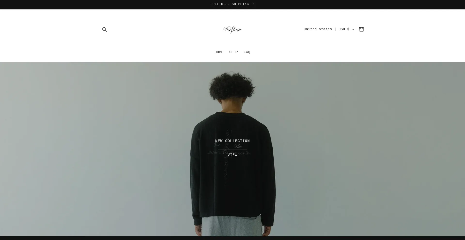 Website screenshot of Forthon.la