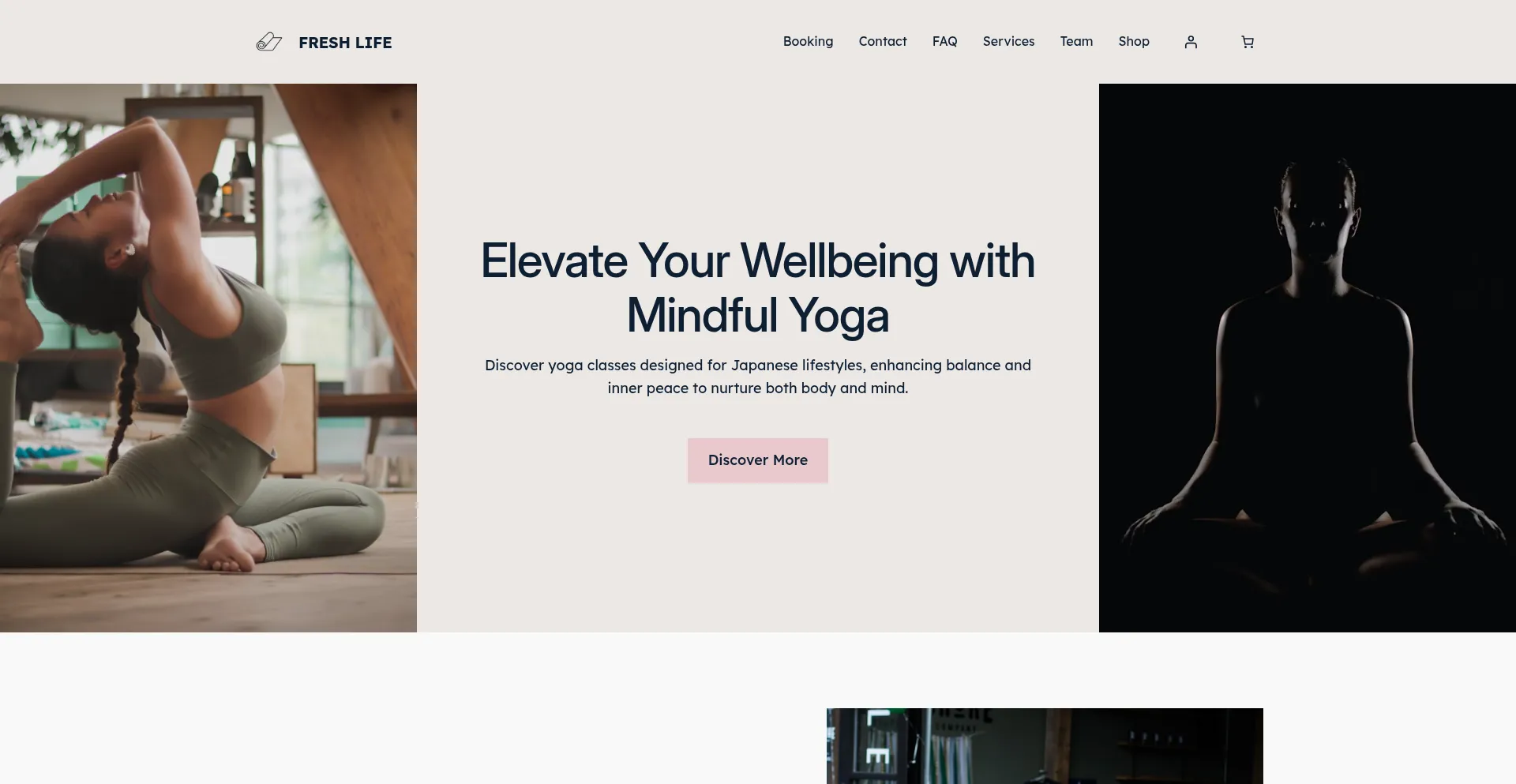Website screenshot of Freshlifee.shop